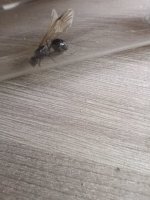 IMG_20250814_162258.jpg