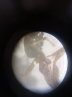 1000021812.jpg
