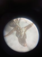 1000021808.jpg