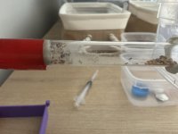 IMG_0109.jpeg