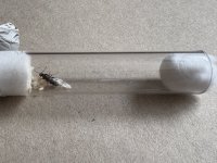 IMG_2288.jpeg