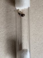IMG_2289.jpeg