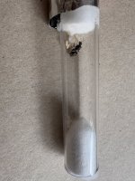 IMG_2290.jpeg