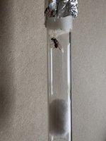 IMG_2291.jpeg