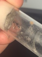 IMG_1626.jpeg