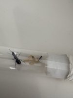 IMG_9510.jpeg