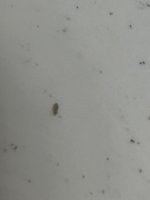 IMG_20250817_212704.jpg