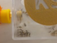 20250818_120232.jpg