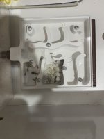 IMG_3684.jpeg