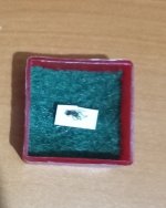 20250817_011337.jpg