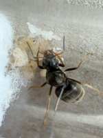 IMG_2324.jpeg