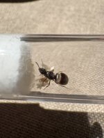 IMG_2322.jpeg