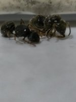 IMG_20250819_202339.jpg