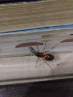 20250820_195729.jpg