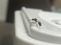 IMG_3029.jpeg