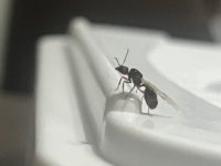 IMG_3030.jpeg