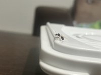 IMG_3028.jpeg