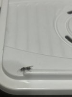 IMG_3026.jpeg