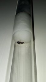 20250820_202012.jpg