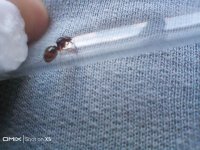 IMG_20250821_133751.jpg