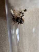 IMG_2360.jpeg IMG_2360.jpeg