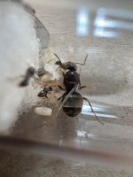 IMG_2357.jpeg IMG_2357.jpeg