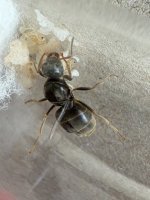 IMG_2325.jpeg IMG_2325.jpeg