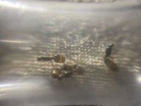 IMG_1281.jpeg