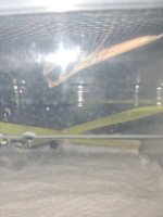 1000434817.jpg