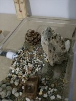 IMG20250822201319.jpg