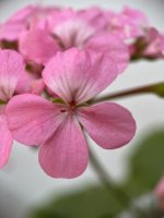 IMG_3833.jpeg