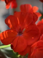IMG_3836.jpeg