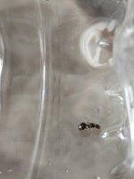 20250823_153441.jpg