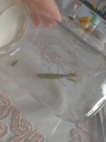 IMG_20250823_190112.jpg