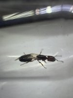 IMG_2291.jpeg