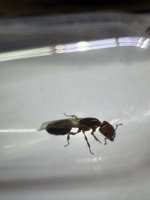 IMG_2292.jpeg
