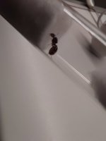 20250823_210935.jpg