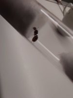 20250823_210933.jpg