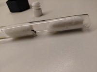 20250823_210900.jpg