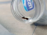 07d72693-bd1e-46f5-acac-e8ad24919505.jpeg