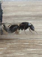 IMG_1495.jpeg