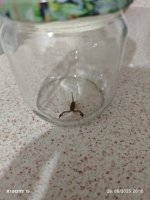 IMG_20250826_201024.jpg