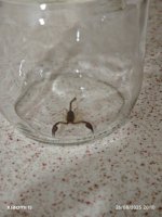 IMG_20250826_201014.jpg