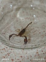 IMG_20250826_201010.jpg