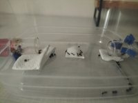 IMG20250822173431.jpg