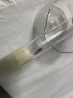 IMG_0155.jpeg