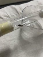 IMG_0154.jpeg