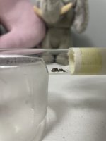 IMG_0143.jpeg