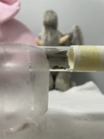 IMG_0144.jpeg