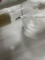 IMG_0151.jpeg
